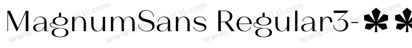 MagnumSans Regular3字体转换